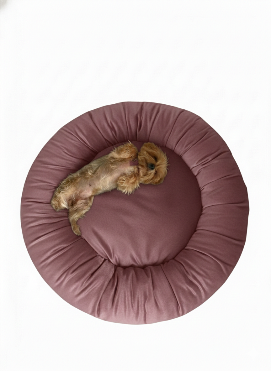 Cama antiestrés talla S — foto 4